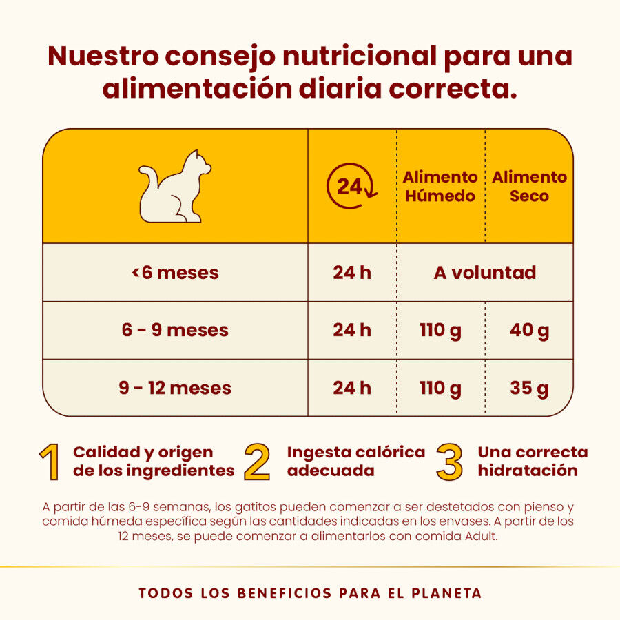 55 g Almo Nature Kitten HFC Pollo sobre para gatitos, , large Imagen numero 4